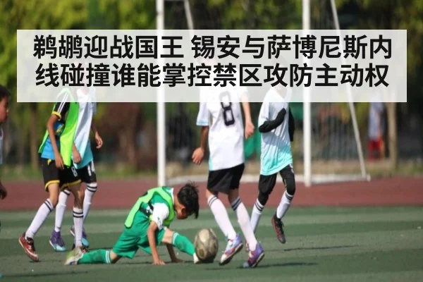 鹈鹕迎战国王 锡安与萨博尼斯内线碰撞谁能掌控禁区攻防主动权
