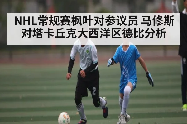 NHL常规赛枫叶对参议员 马修斯对塔卡丘克大西洋区德比分析
